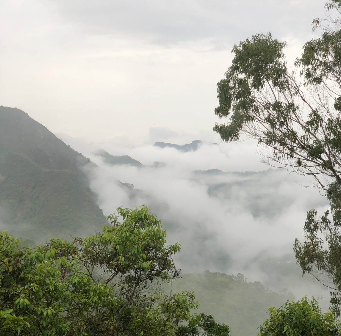 Paisaje San Francisco Regenerativo Turismo Sostenibre
