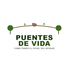 puentes Puentes de Vida